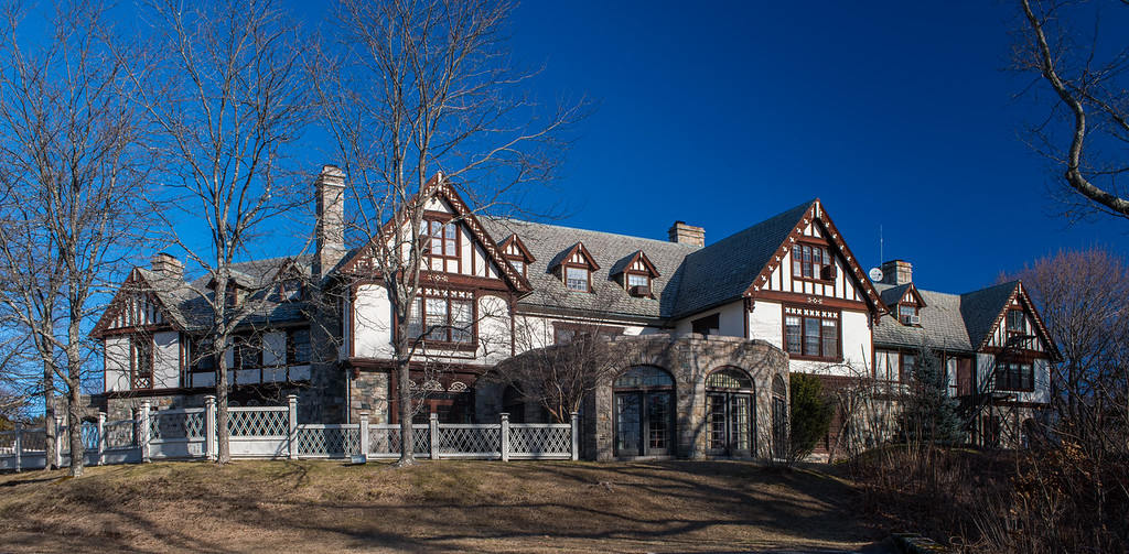 Navigating Uncertainty: A CEO's Guide